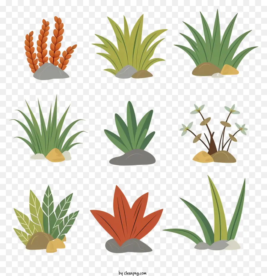 Plantas，Vegetação PNG