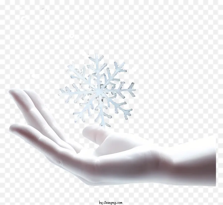 Mão Segurando Floco De Neve，Snowflake Caindo PNG