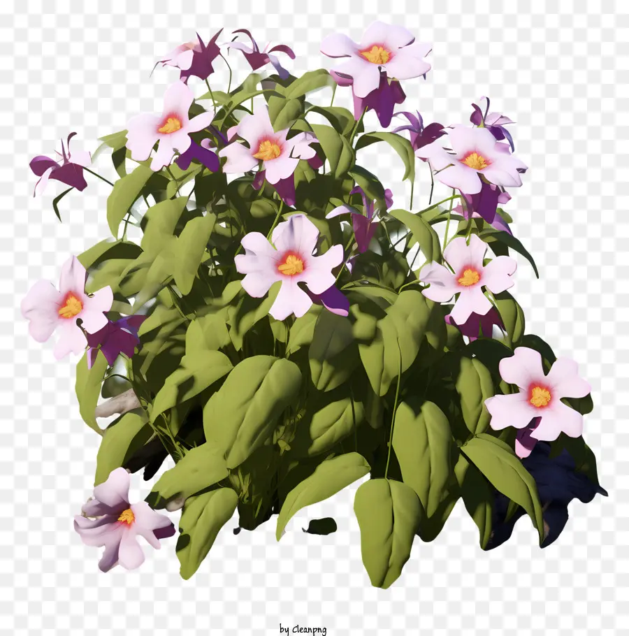 Vasos De Flores，Flores Roxas PNG