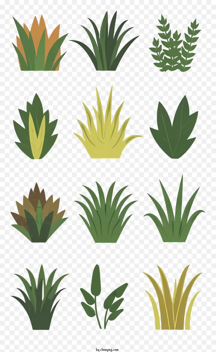 Plantas，Grama PNG