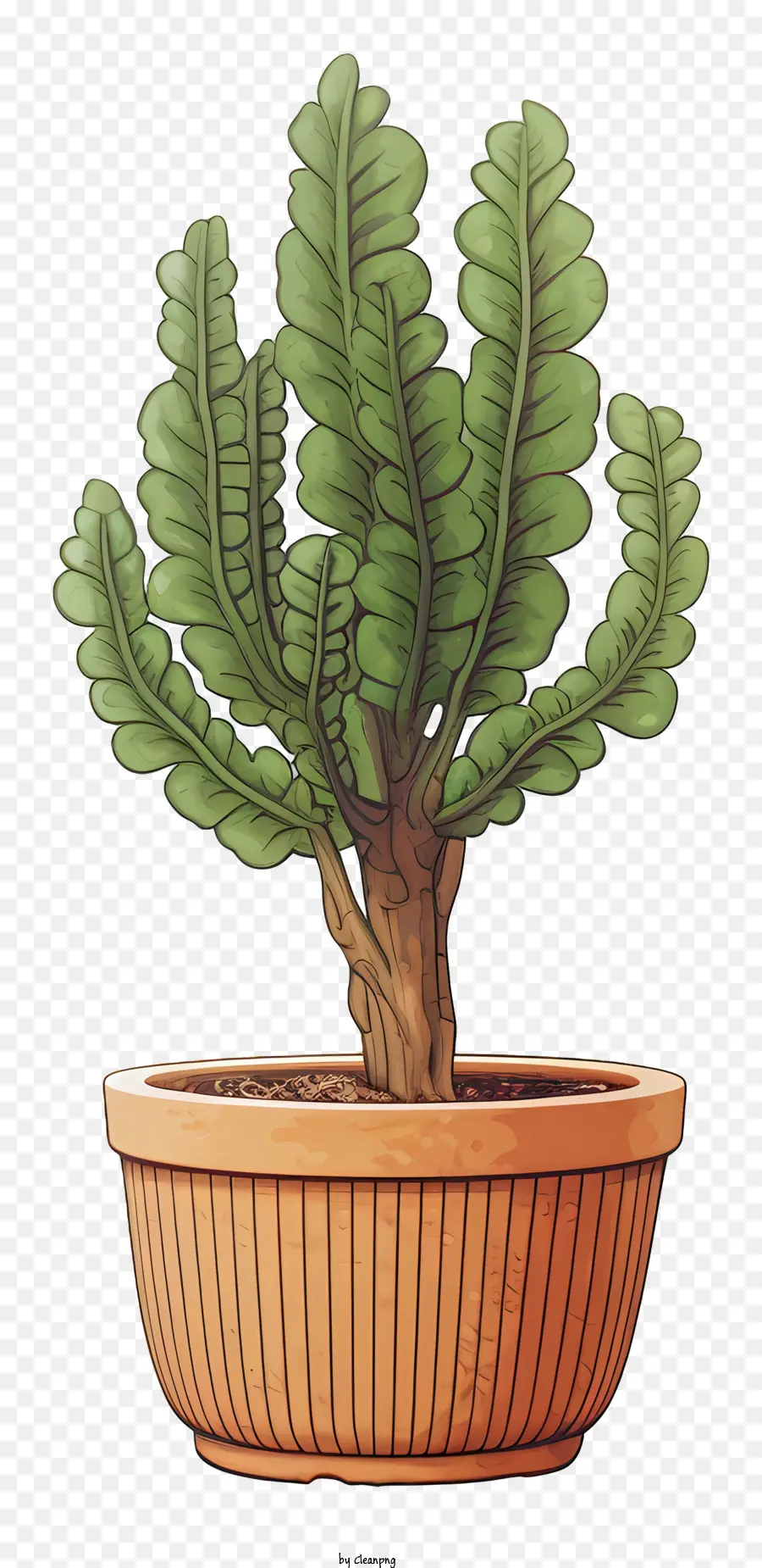 Planta Pequena，Cacto Em Vaso Verde PNG