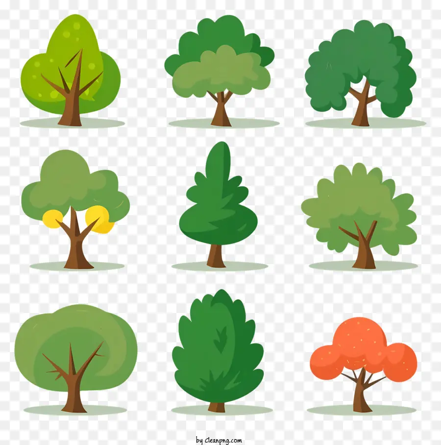 árvores，árvores Caducifólias PNG