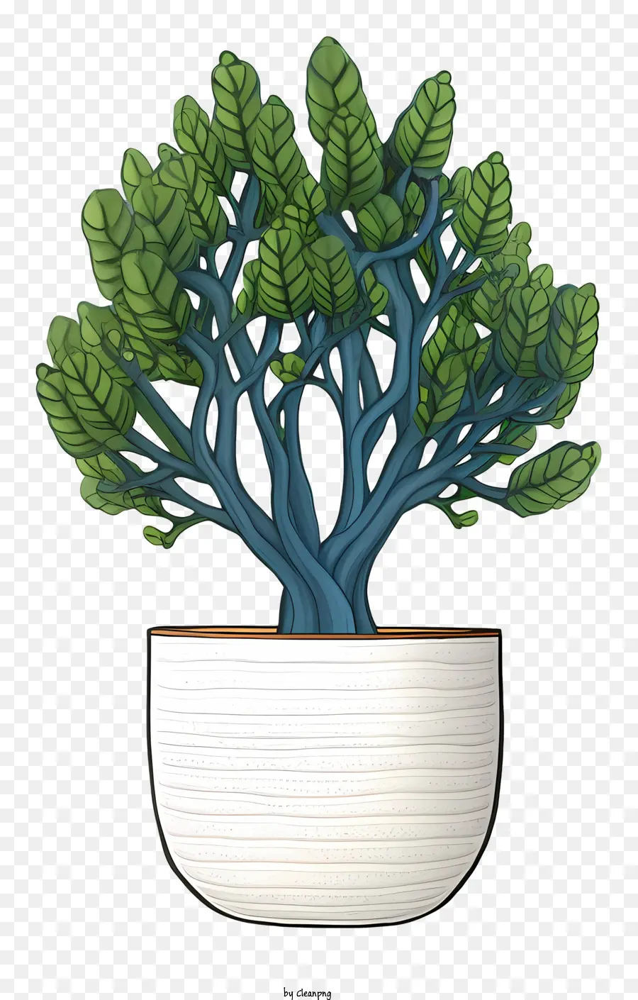 Uma árvore Bonsai，Pote De Cerâmica Branca PNG