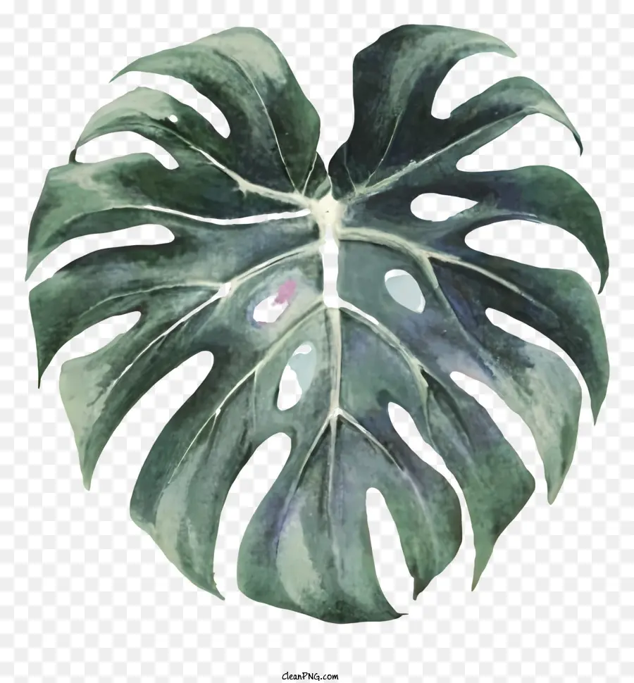 Grande Planta Frondosa，Folha Verde PNG