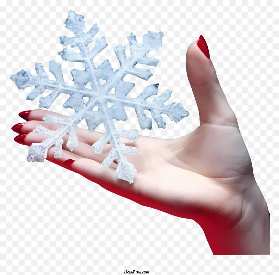 Mão Segurando Floco De Neve，Glitter Snowflake PNG