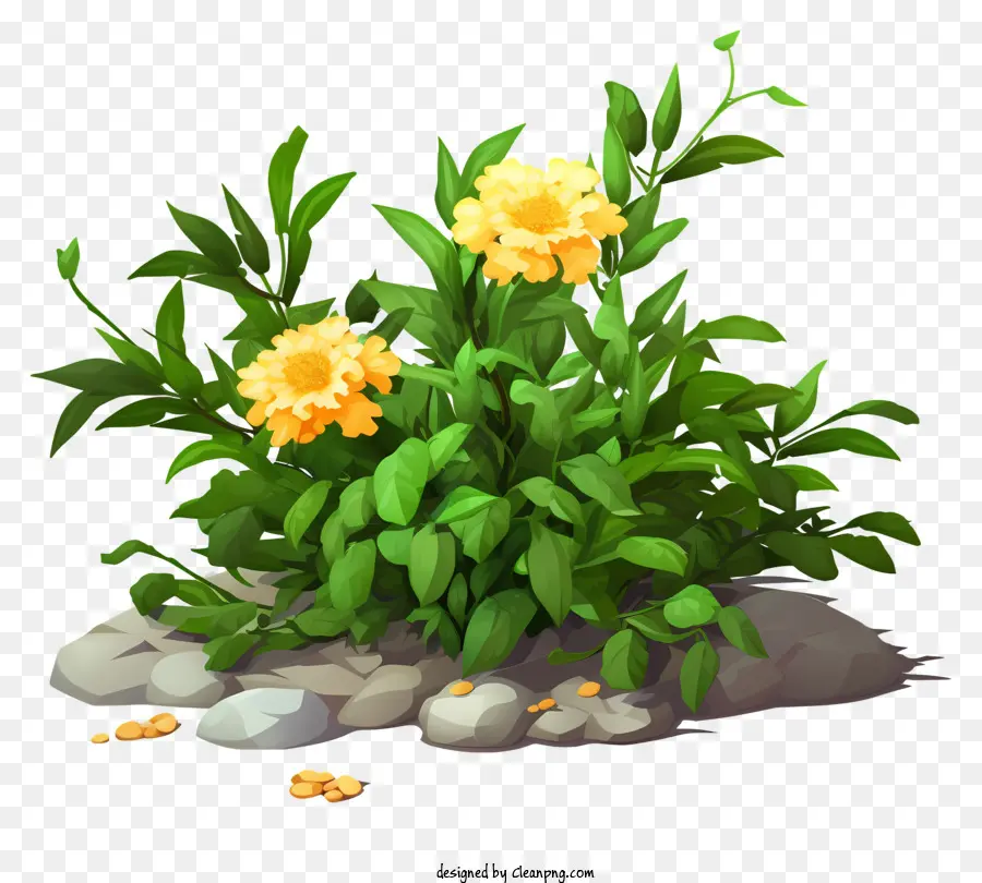 Terreno Rochoso，Flores Amarelas PNG