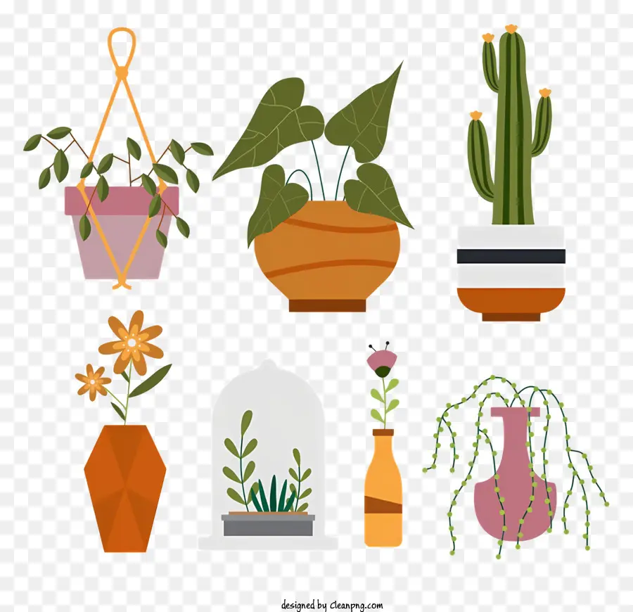 Vasos De Plantas，Plantas Em Tamanhos Diferentes PNG