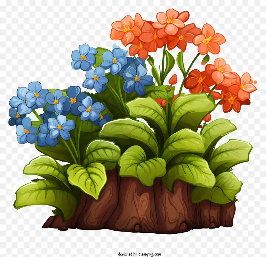 Desenho Animado，Planta De Flores PNG