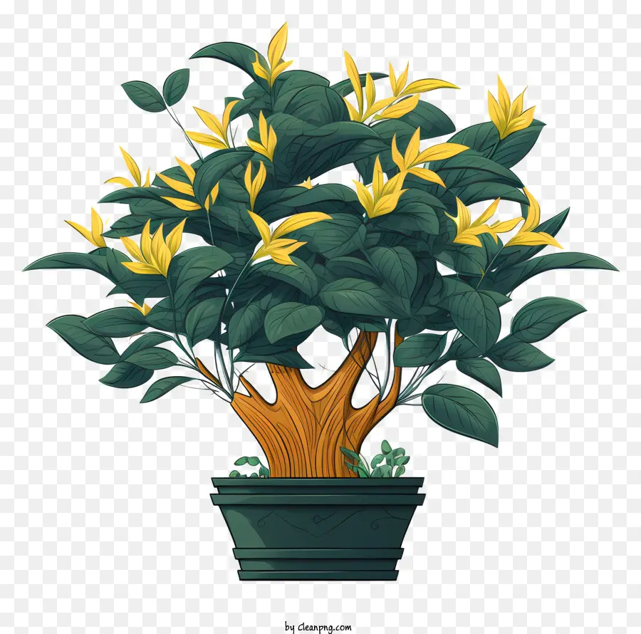 Planta Em Vaso Verde，Rodada Pote PNG