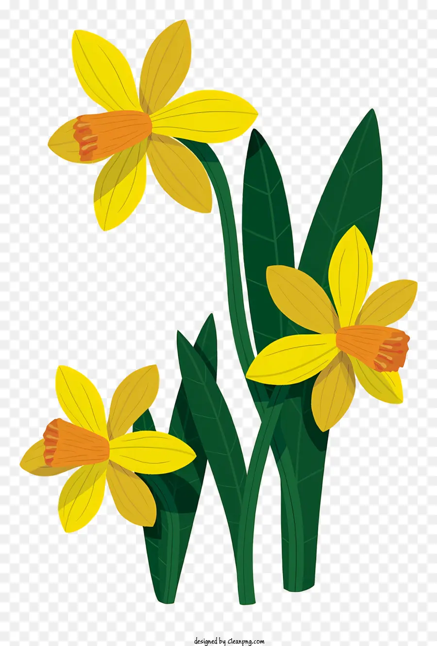 Narcisos，Narcissus PNG
