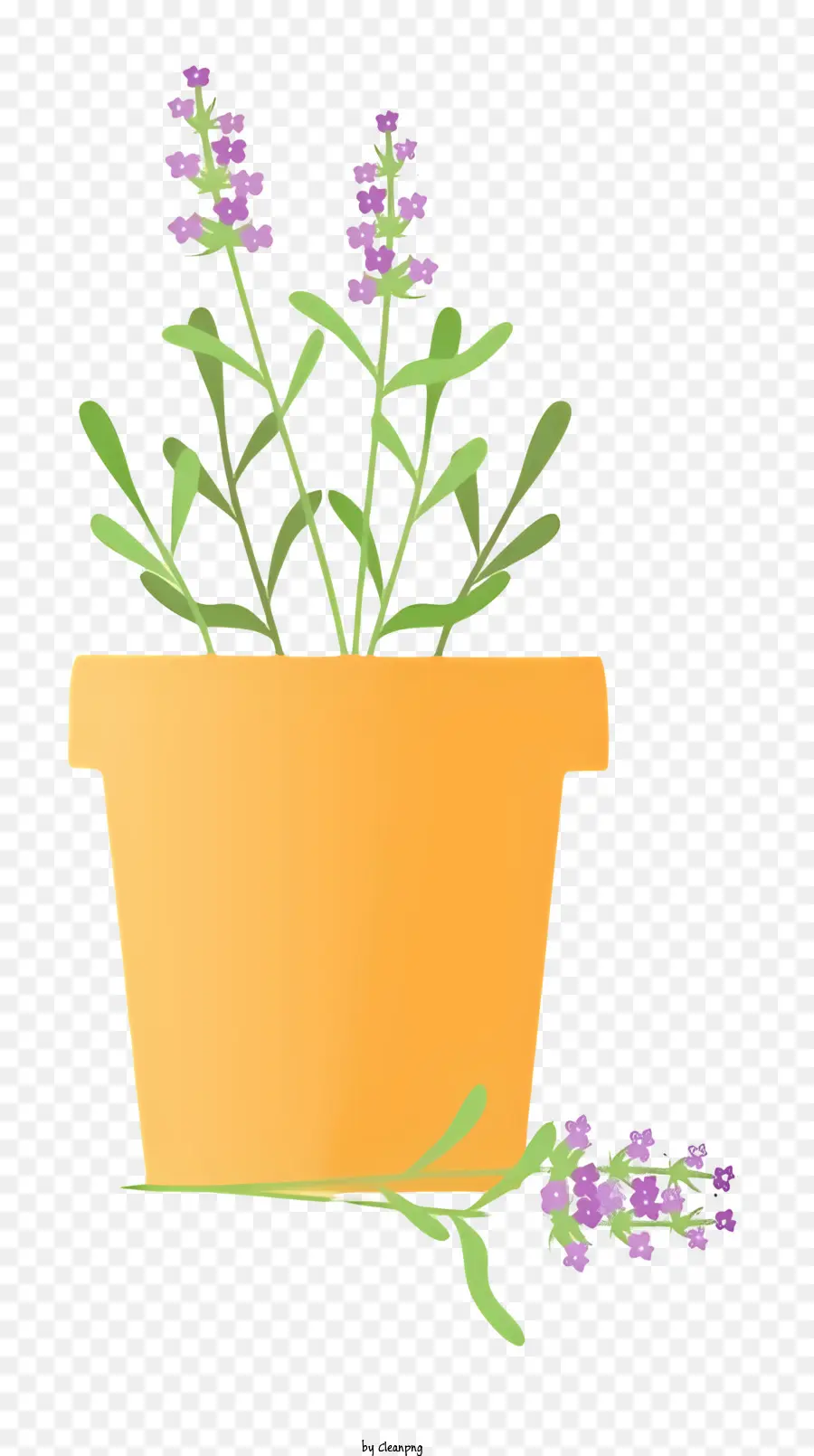 Planta Em Vaso，Lavanda PNG