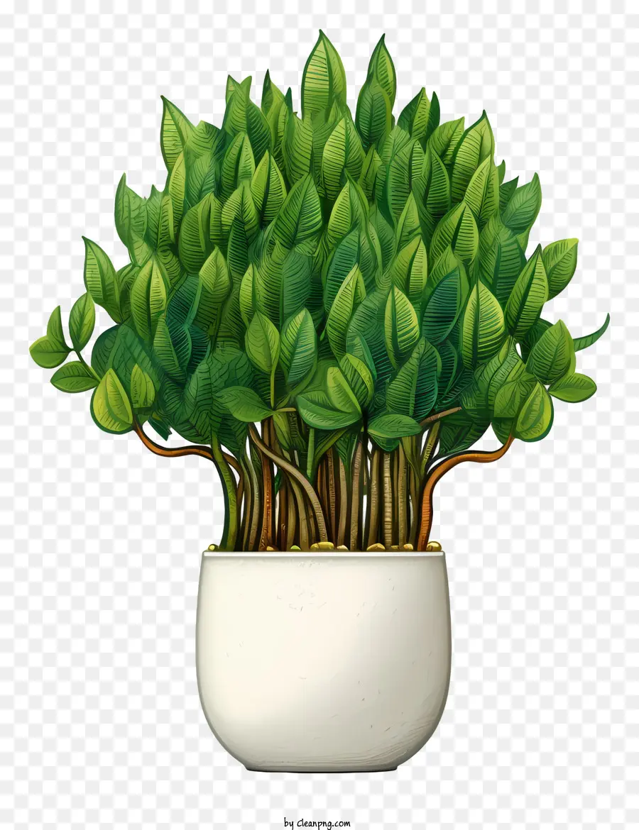 Pote De Cerâmica Branca，Plantas Verdes PNG