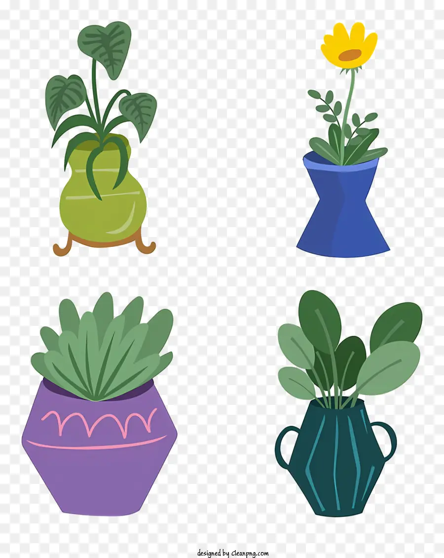 Plantas Em Vasos，Folhas Verdes PNG