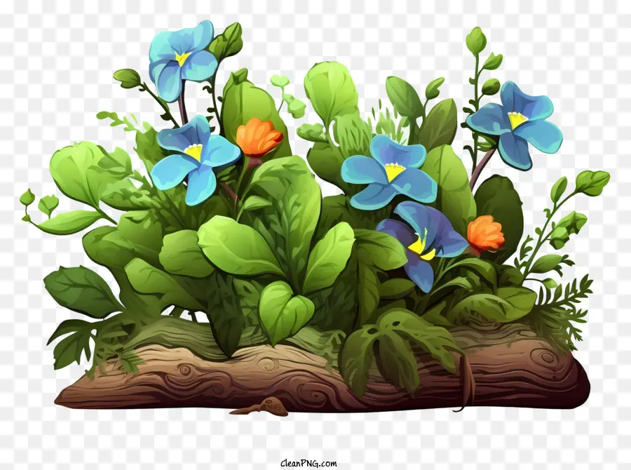 Planta Verde，Flores Azuis E Roxas PNG