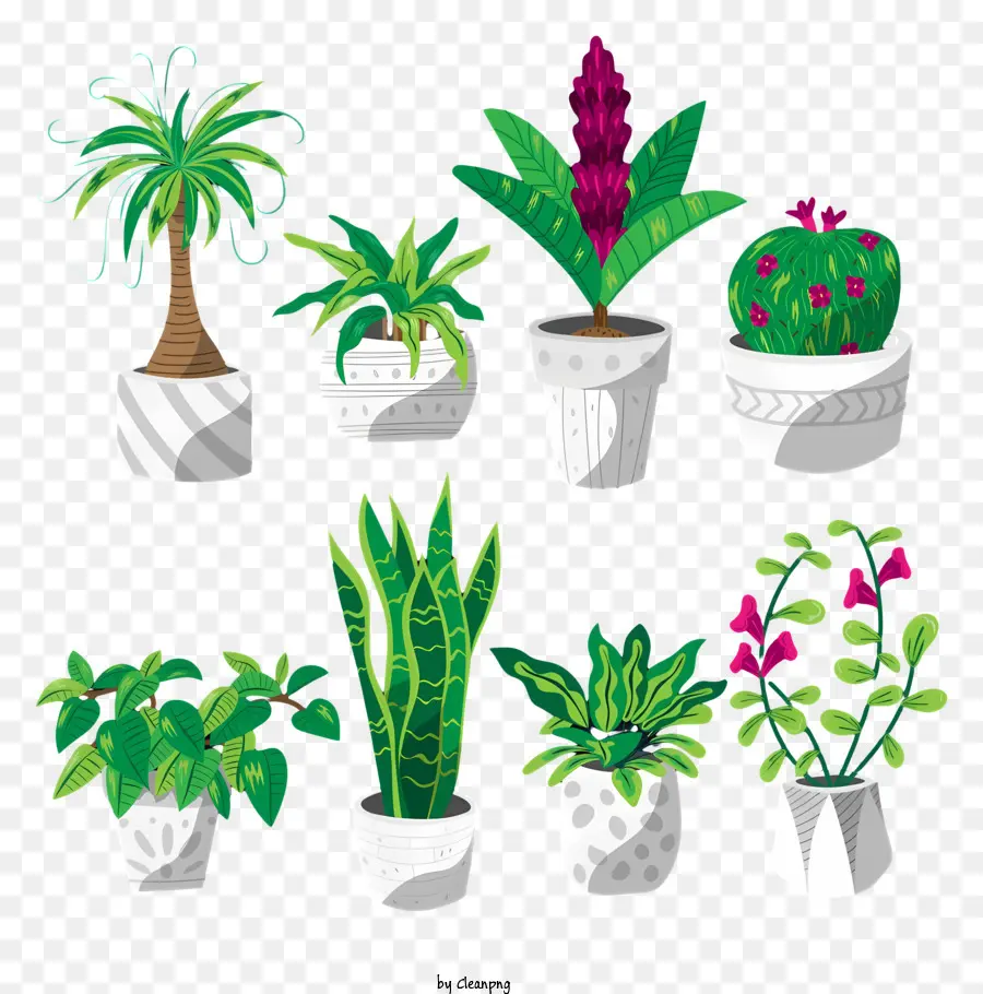 Plantas，Plantadores Em Vasos PNG