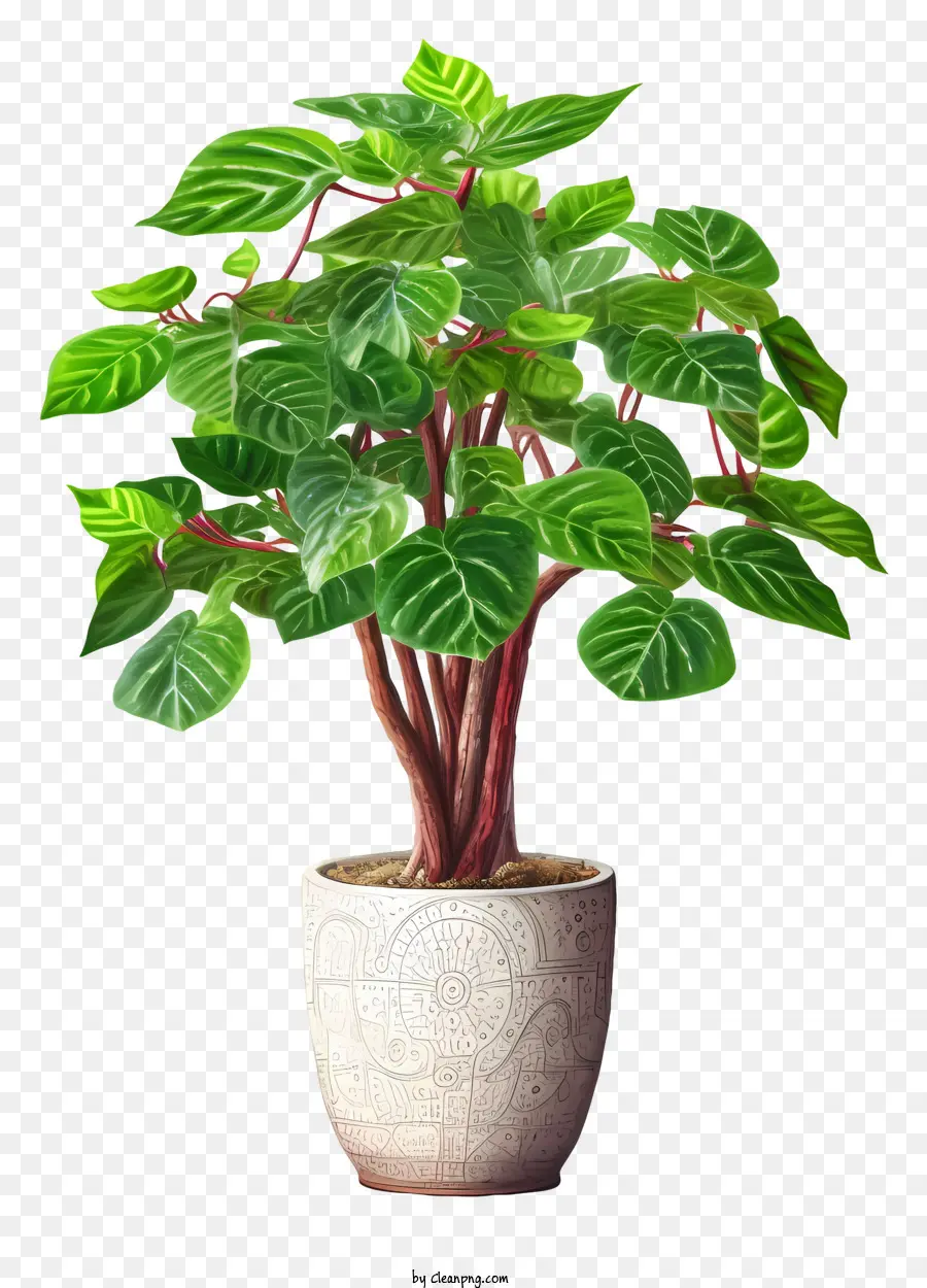 Planta Verde，Planta Em Vaso PNG