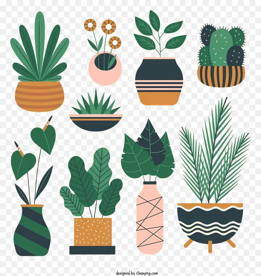Vasos De Plantas，Cactus PNG