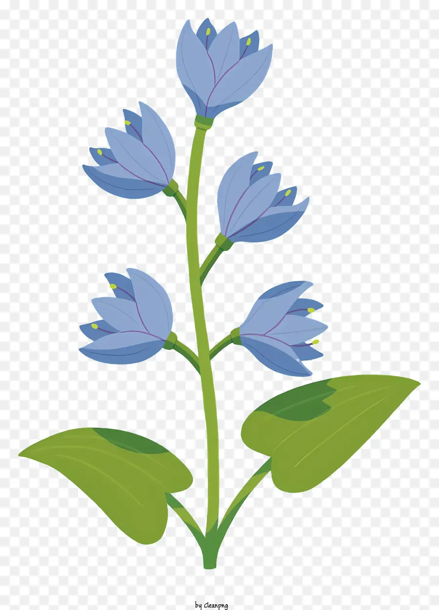 Flor Azul，Cinco Flor Petalled PNG