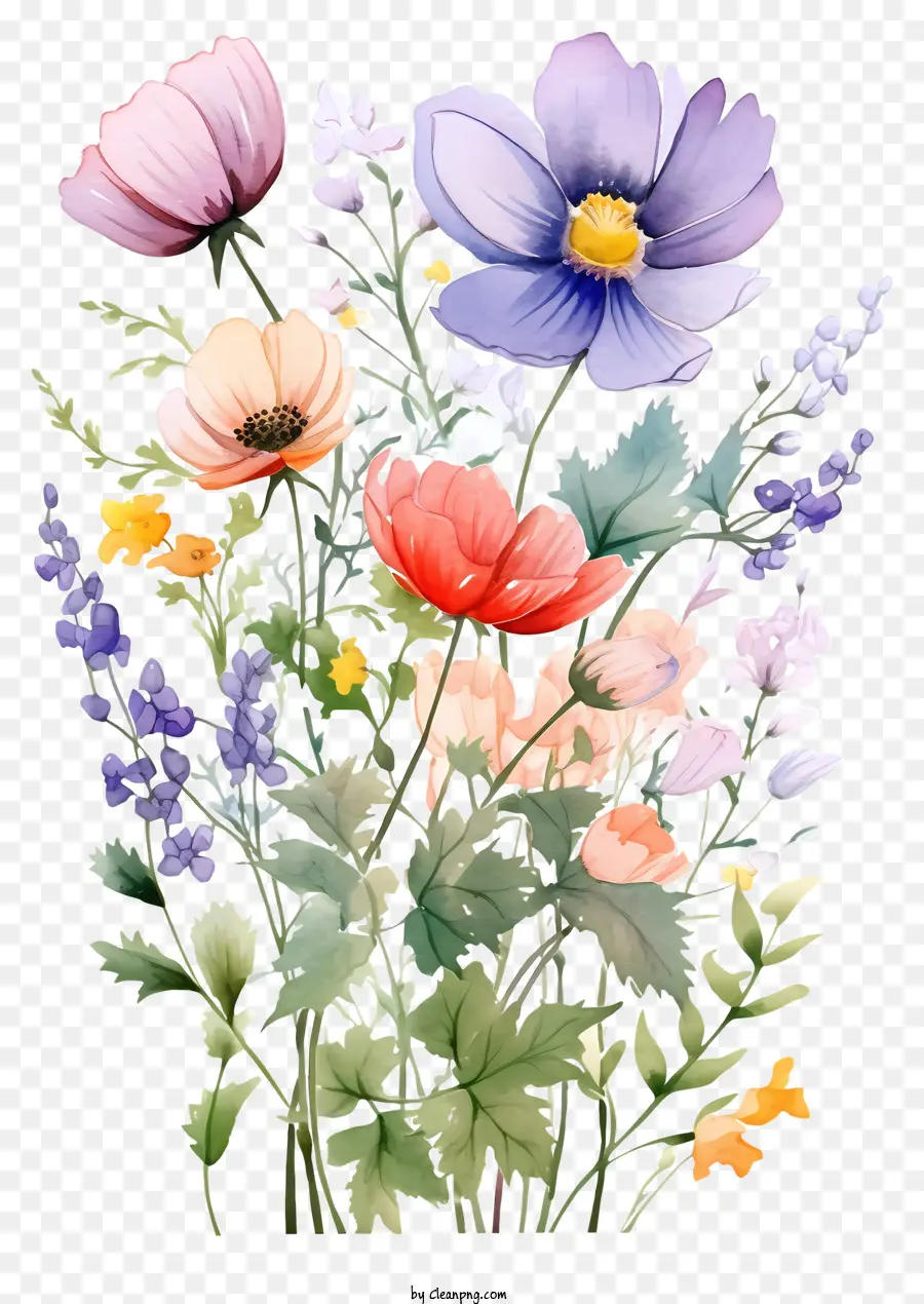 Pintura Em Aquarela，Flores Coloridas PNG