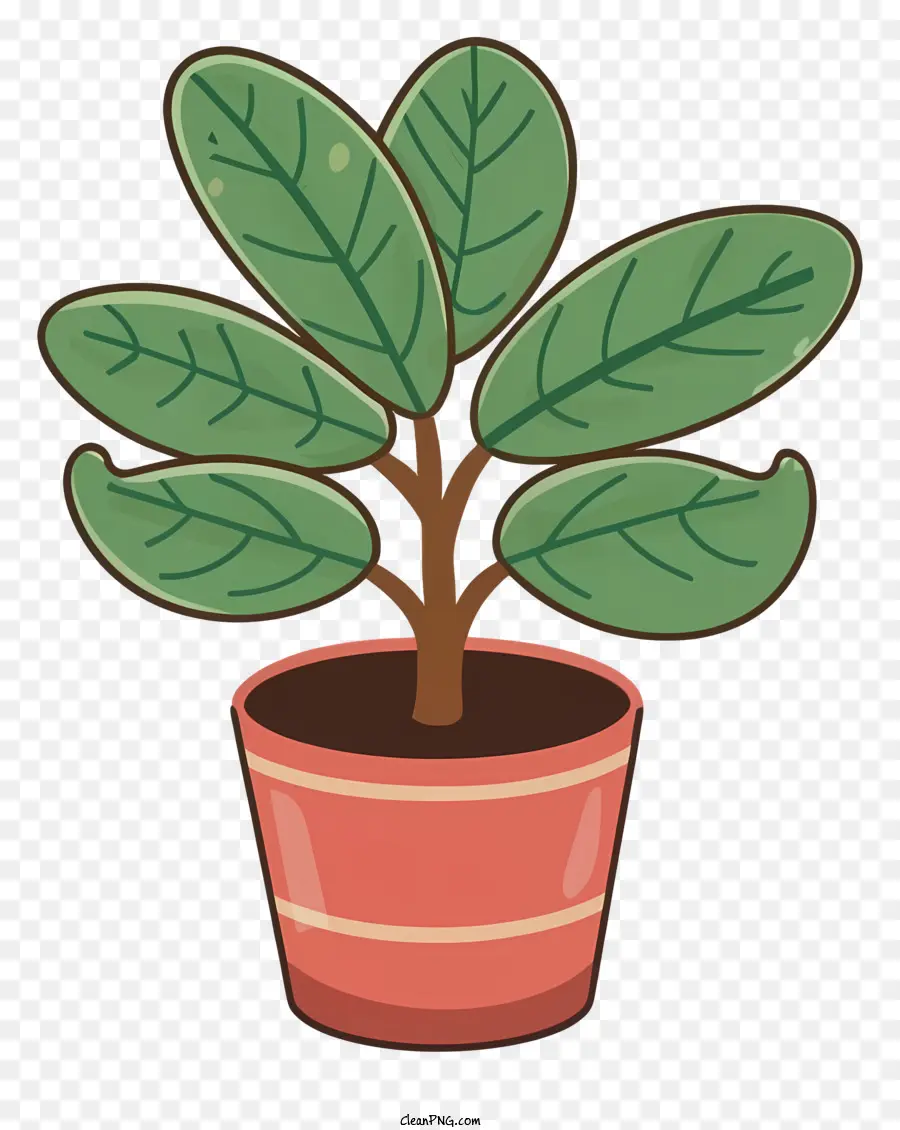 Planta De Vaso，Folhas Verdes PNG