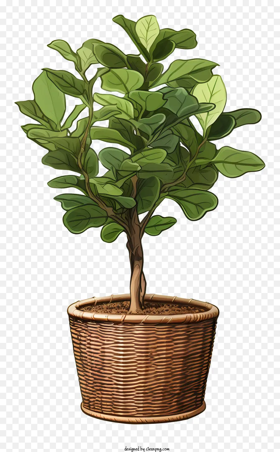 Uma árvore Bonsai，Cesta De Vime PNG