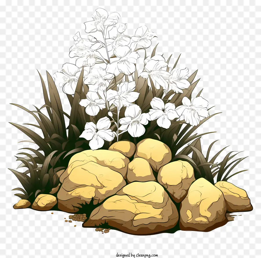 Rock Garden，Flores Brancas PNG
