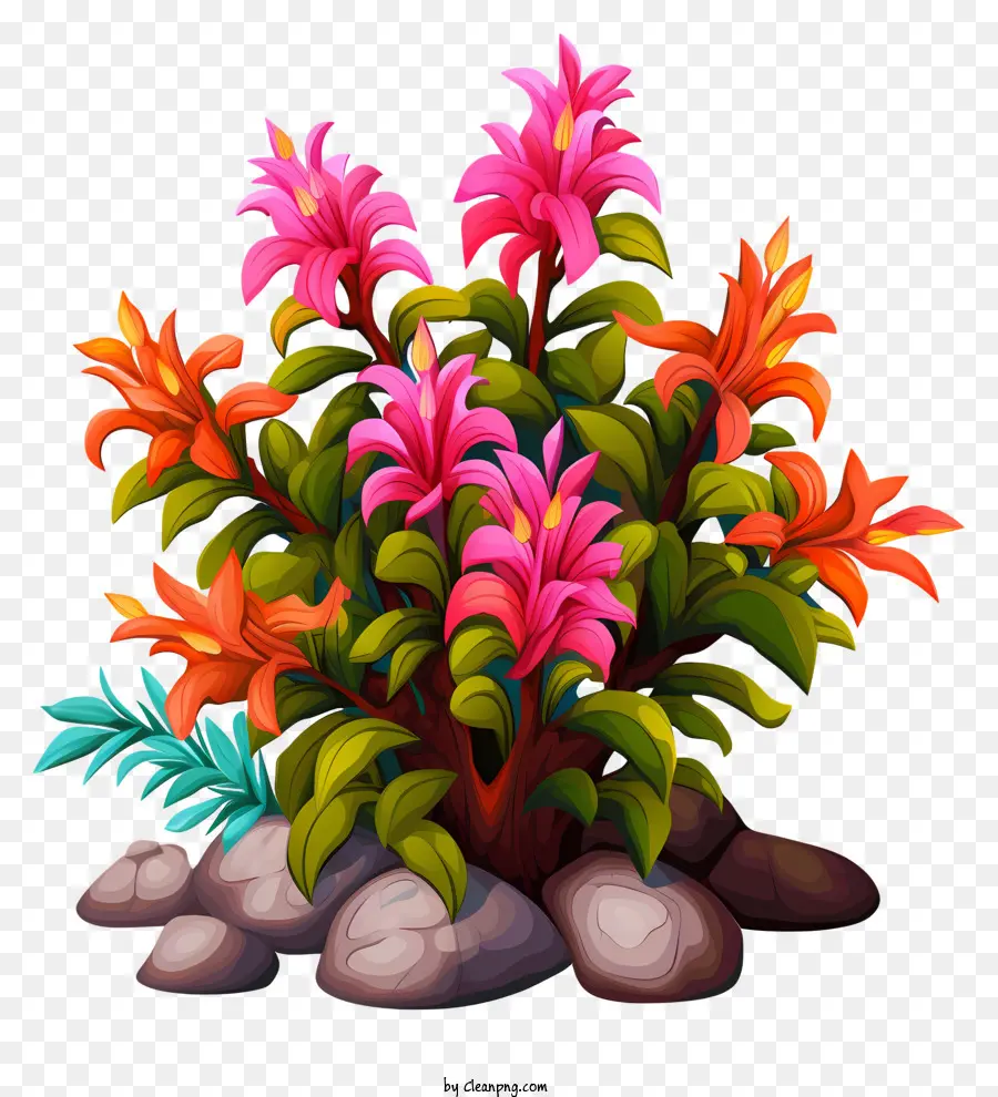 Plantas Tropicais，Plantas Coloridas PNG