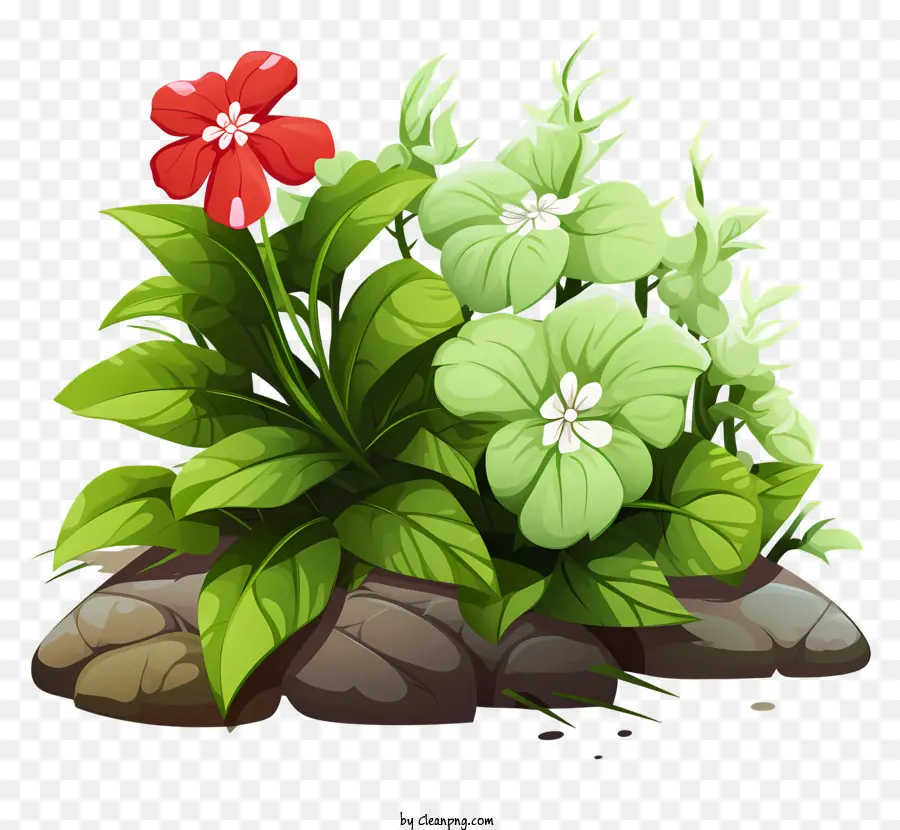 Flores Verdes，Flores Vermelhas PNG