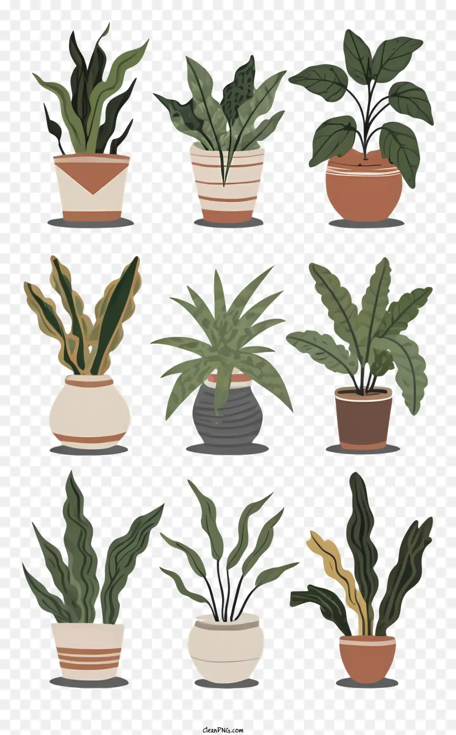 Vasos De Plantas，Plantas De Aranha PNG