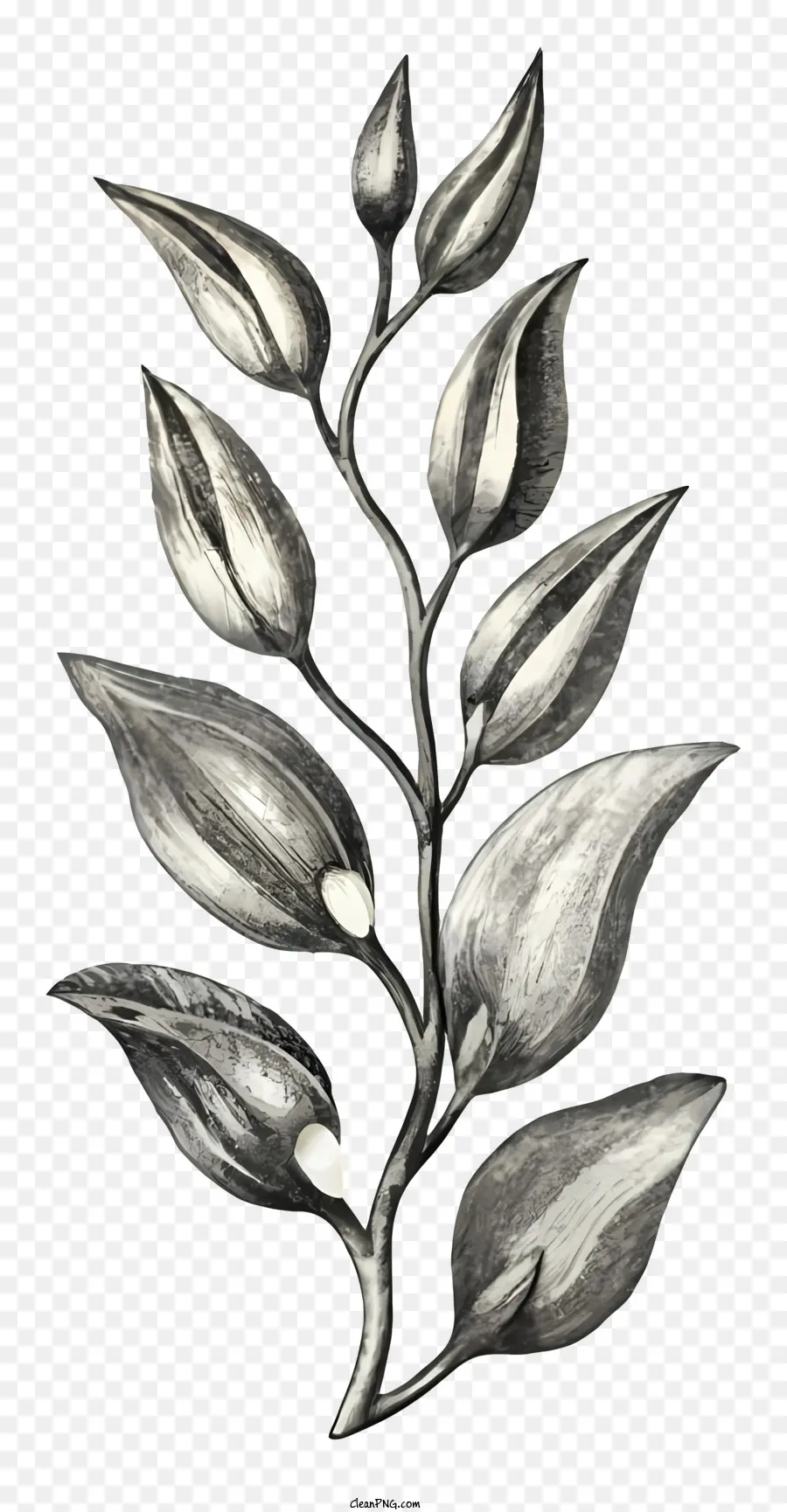Flor De Desenho，Flores Em Preto E Branco PNG