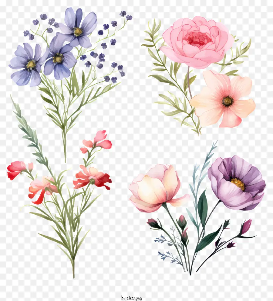 Pinturas Em Aquarela，Flores PNG