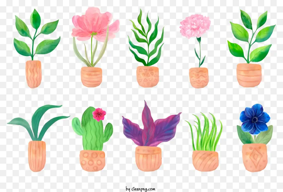 Plantas Em Panelas De Madeira，Diferentes Tipos De Flores PNG