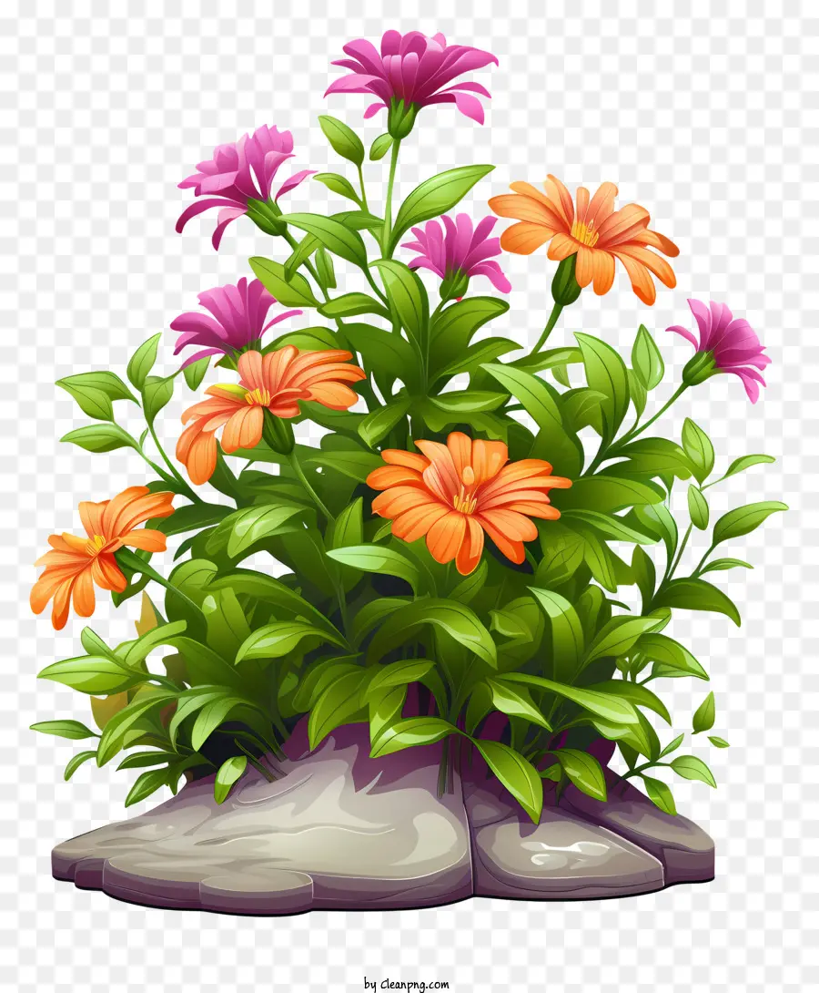Planta De Vaso，Flores Coloridas PNG