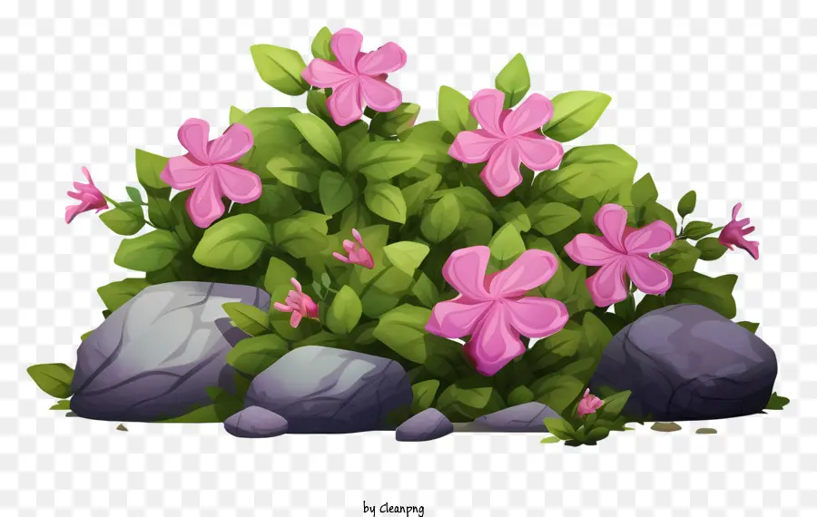 Flores Cor De Rosa，Grupo De Flores PNG