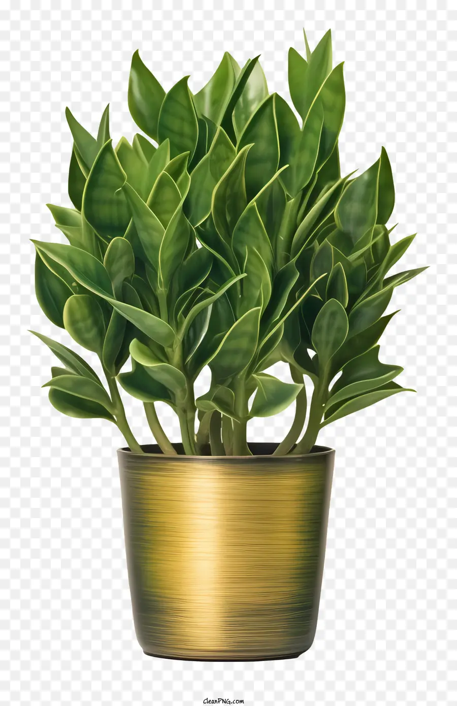 Planta Em Vaso Verde，Metal Pote PNG