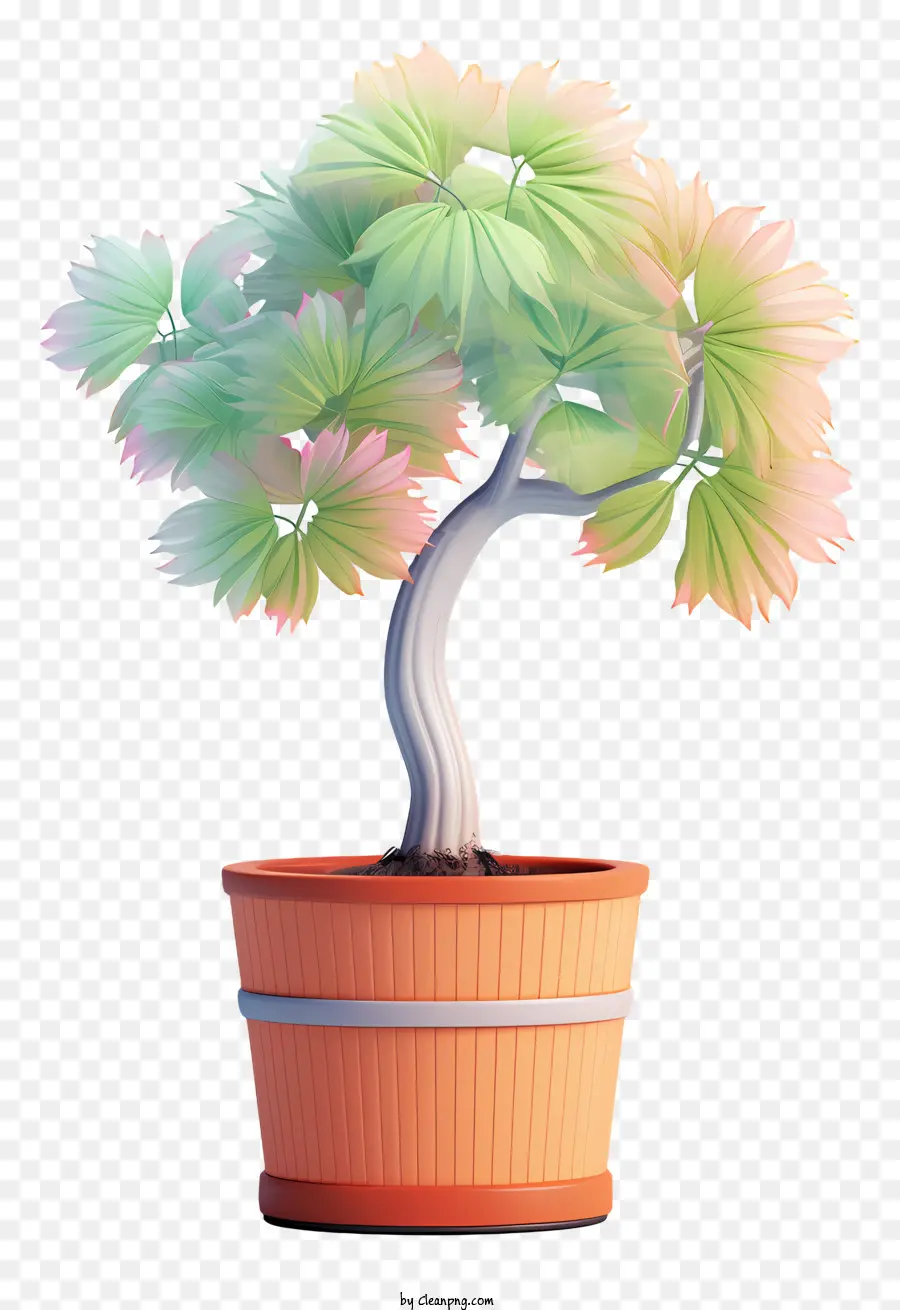Uma árvore Bonsai，Planta De Vaso PNG