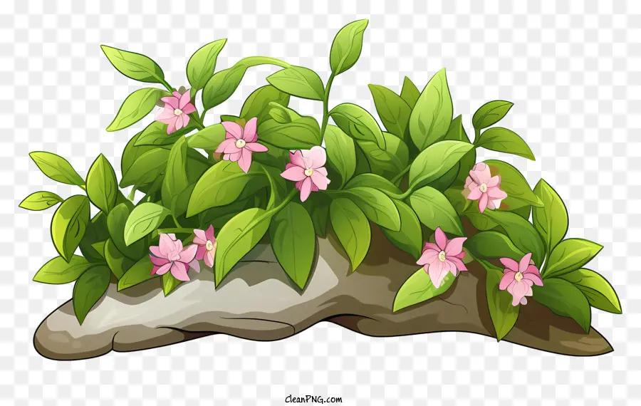 Flores Verdes E Rosa，Rock Com Folhas PNG