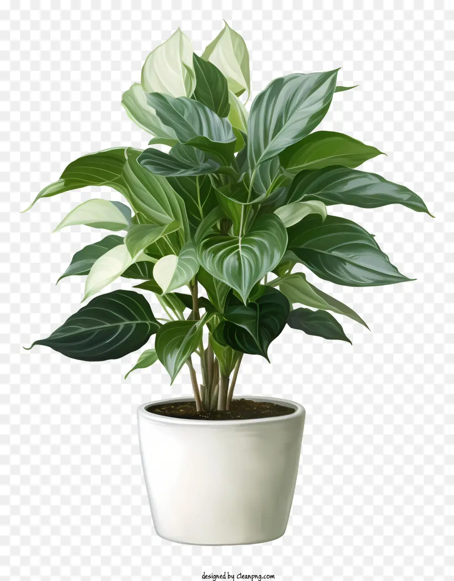 Pote De Planta De Cerâmica Branca，Folhas Verdes PNG