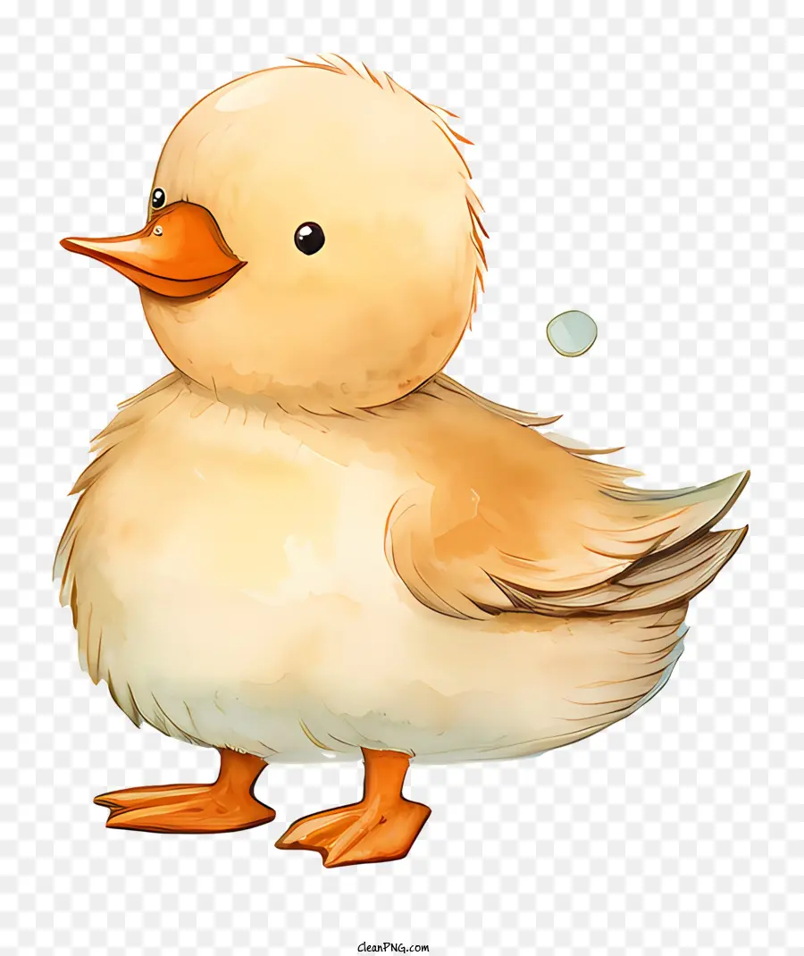 Pato De Desenho Animado，Pato Fofo PNG