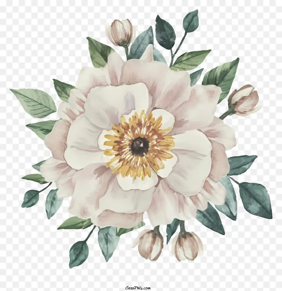 Pintura Em Aquarela，Cor De Rosa Peônia Flor PNG