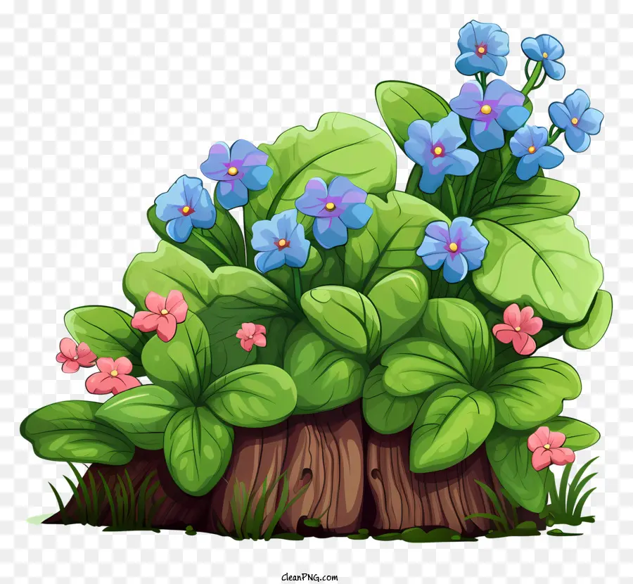 Pequeno Toco Verde，Flores Azuis PNG