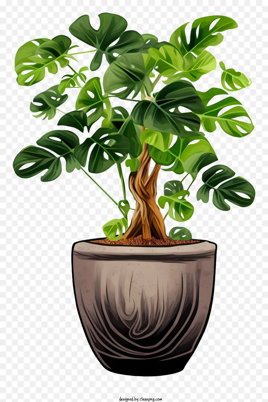 Planta De Bonsai，Panela Redonda Grande PNG