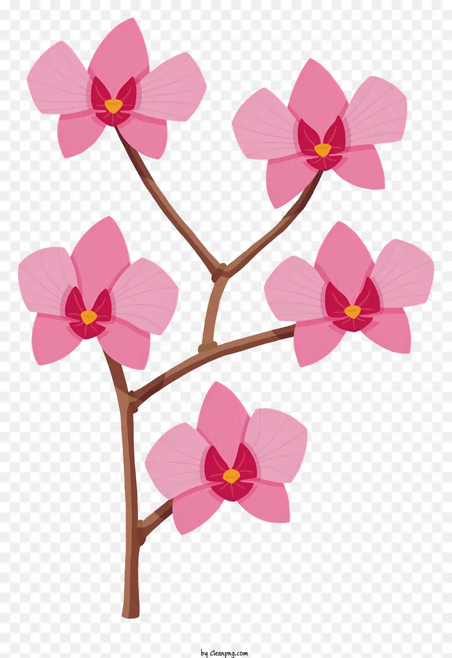 Cor De Rosa Orquídea，Flores Cor De Rosa PNG