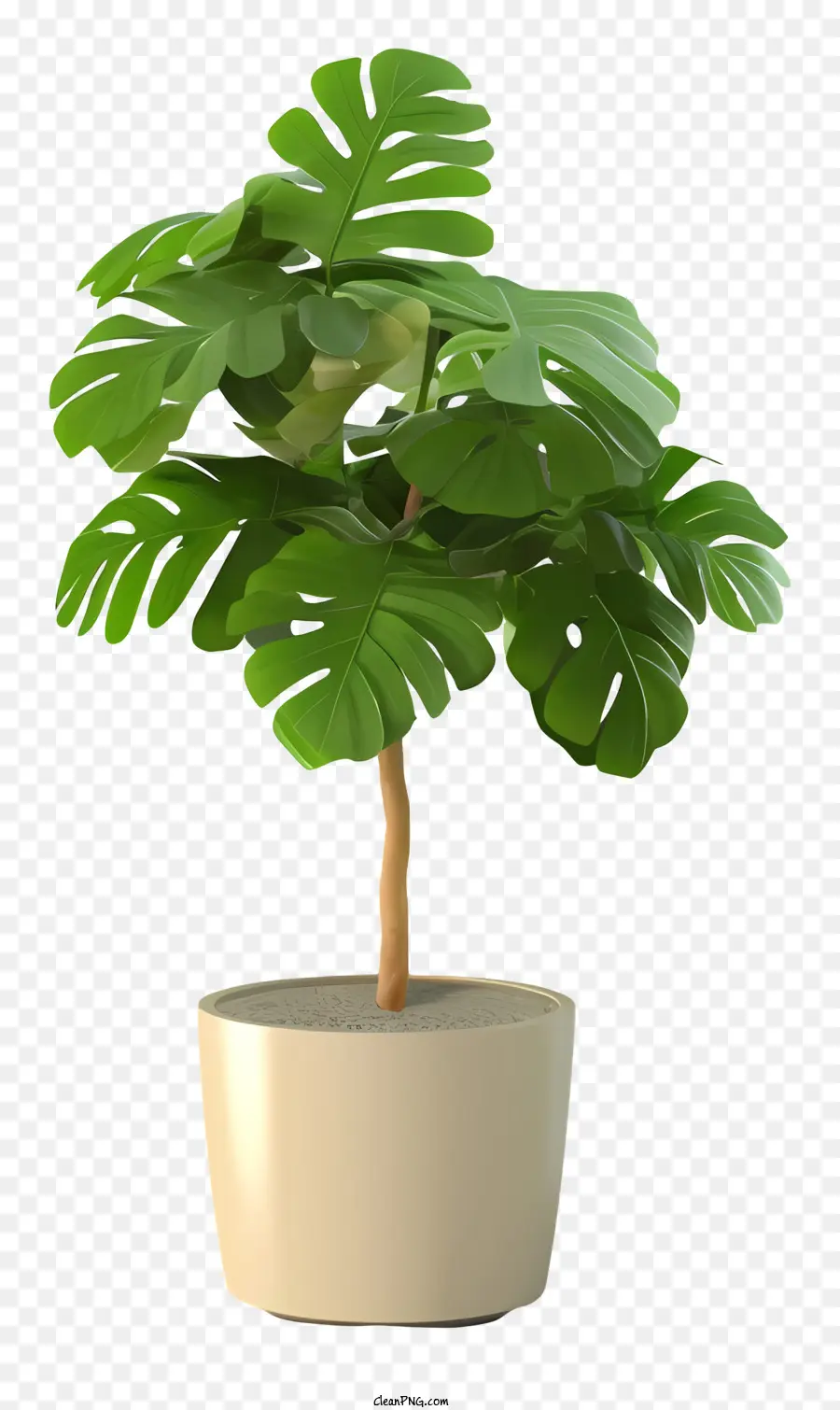 Planta Verde，Planta De Vaso PNG