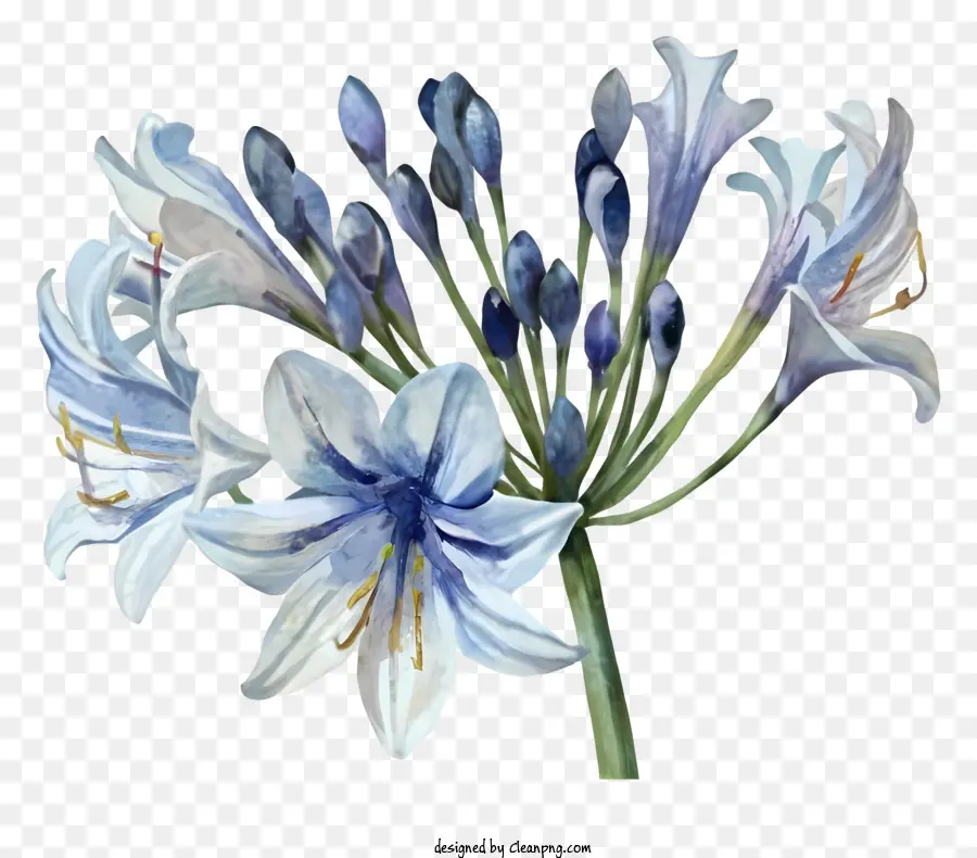Azul E Branco Flores，Buquê PNG