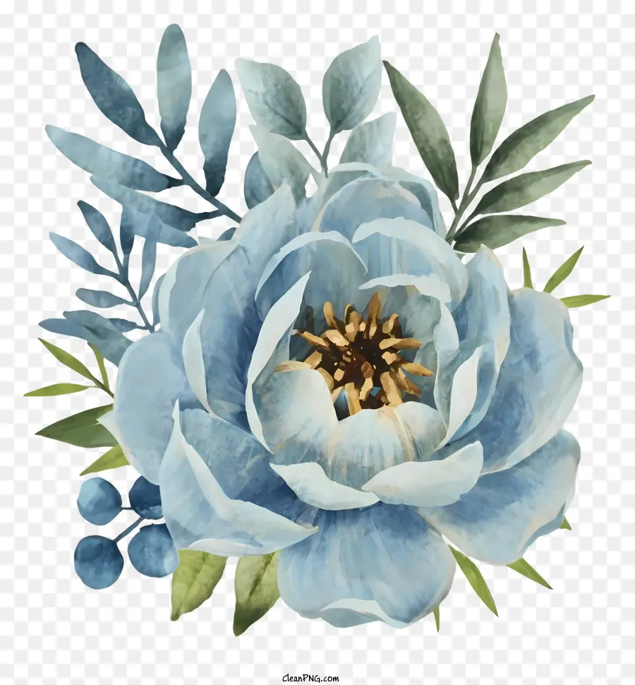Pintura Em Aquarela，Flor Da Peônia Azul PNG
