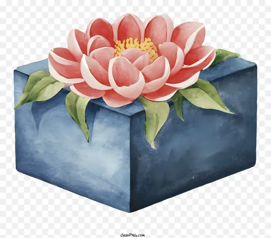 Pintura Em Aquarela，Flor De Lótus Rosa PNG