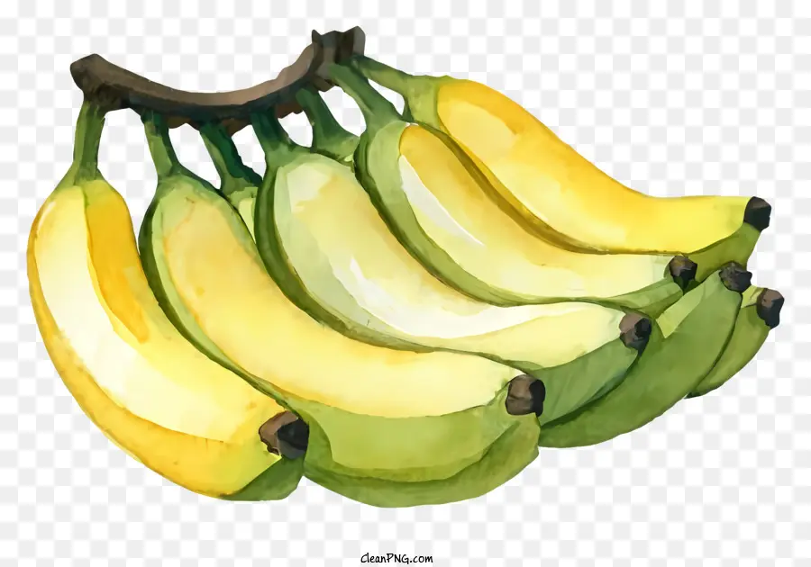 Pintura Em Aquarela，Bando De Bananas PNG