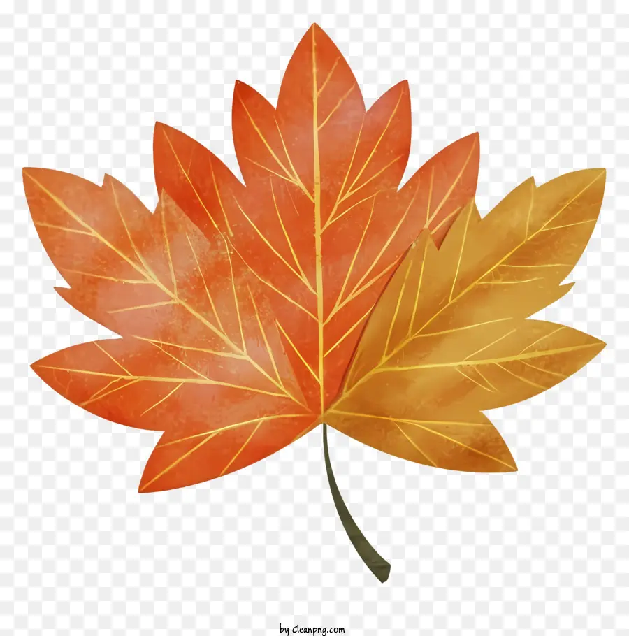 Red Maple Leaf，Black Background PNG