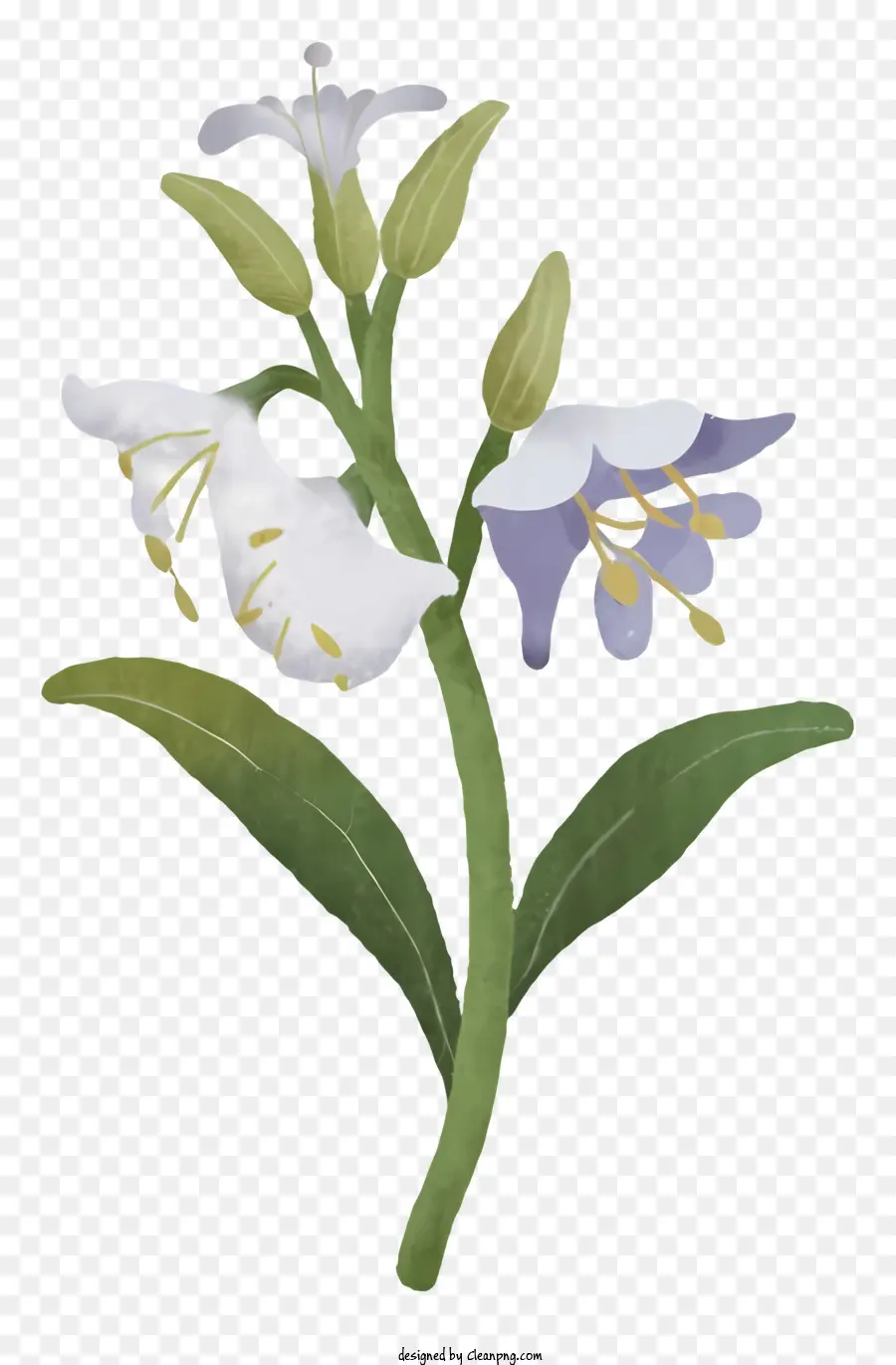 Flores Silvestres，Flor PNG
